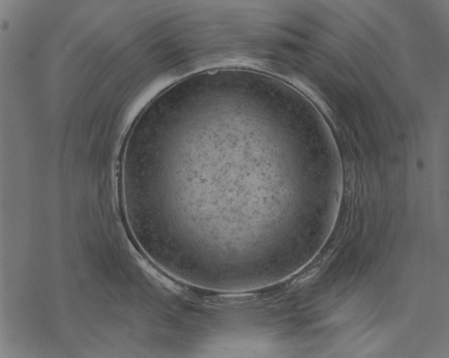 X0000077321151200611031659