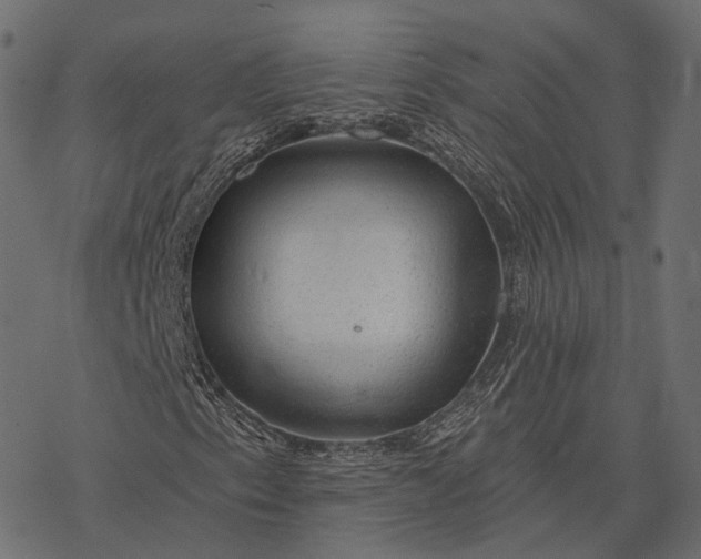 X0000077321153200611031658