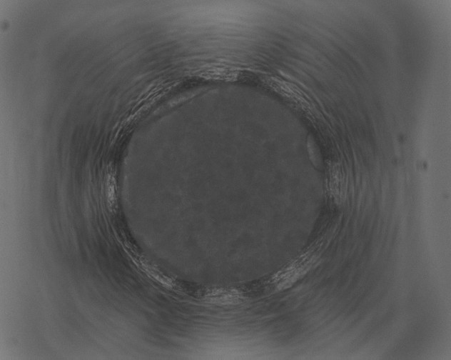 X0000077321154200611031658