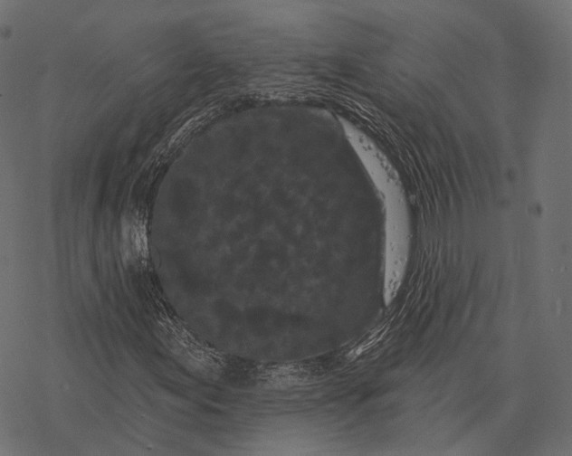 X0000077321155200611031658