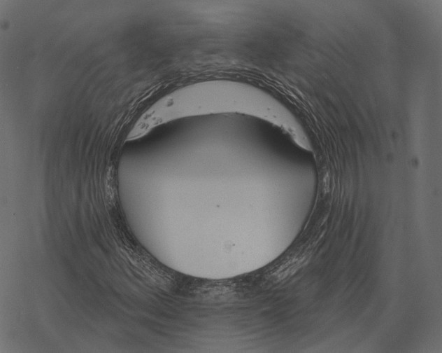 X0000077321156200611031658