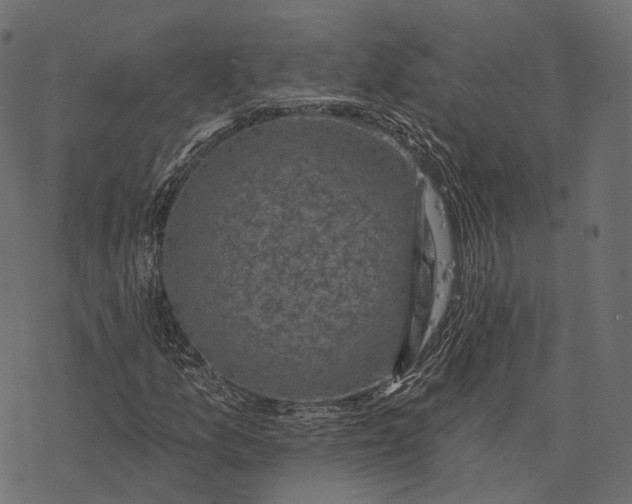 X0000077321157200611031658