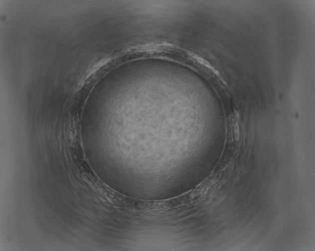 X0000077321158200611031658