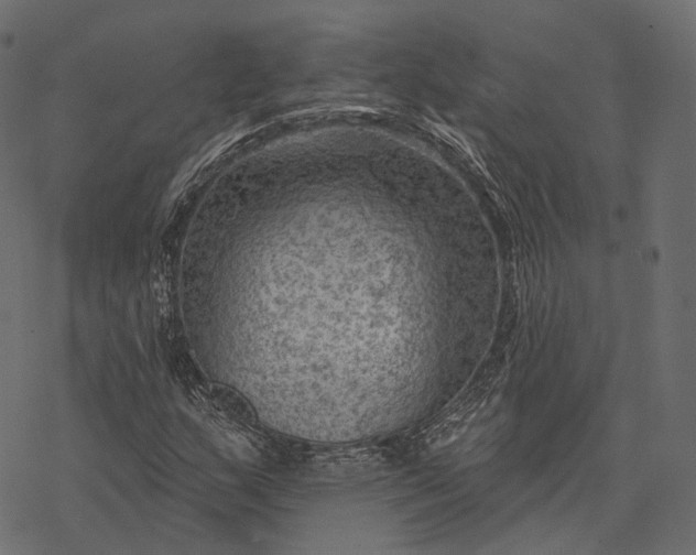 X0000077321159200611031658