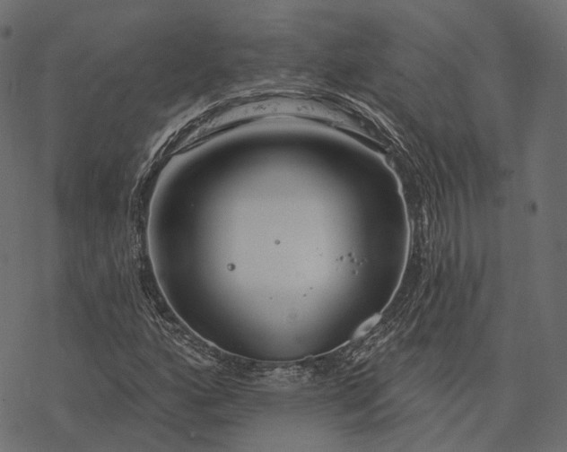 X0000077321160200611031658