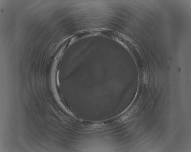 X0000077321161200611031658