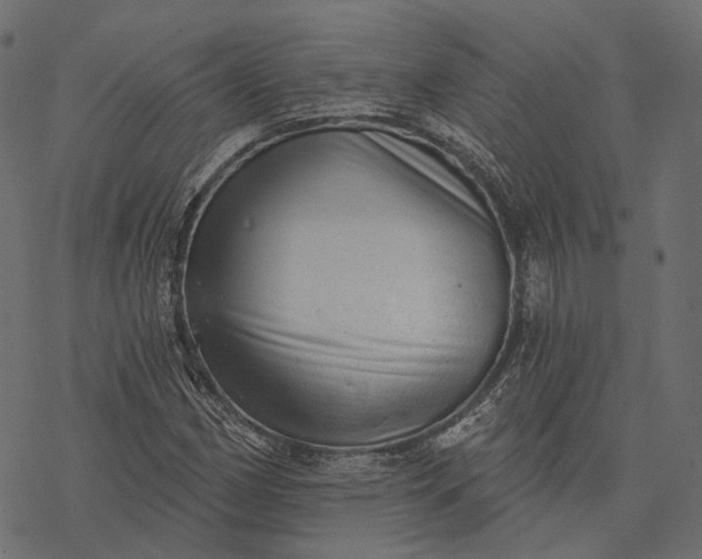 X0000077321162200611031658