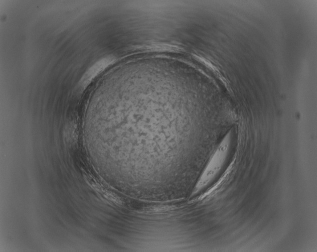 X0000077321163200611031658