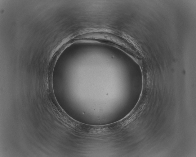 X0000077321165200611031658