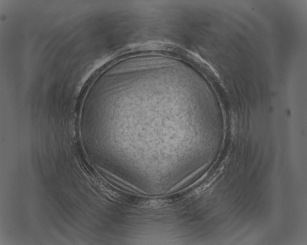 X0000077321166200611031658