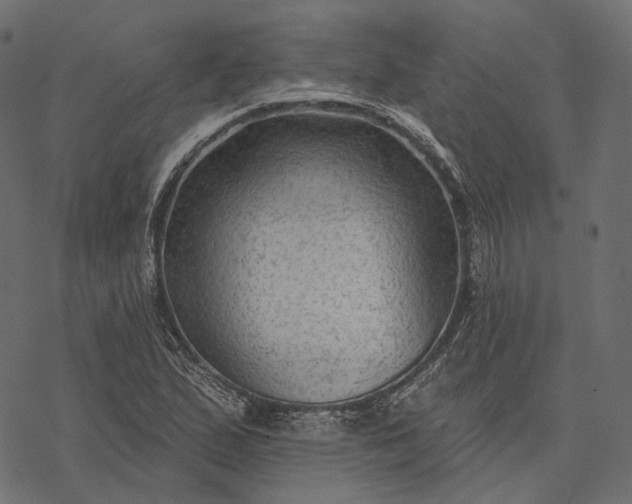 X0000077321167200611031658