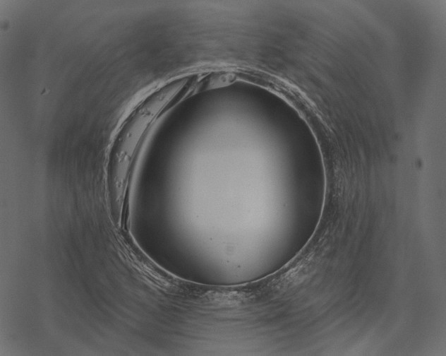 X0000077321168200611031658