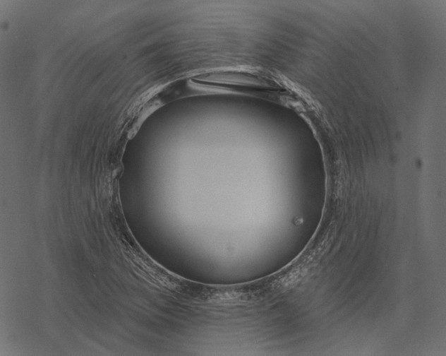 X0000077321169200611031658