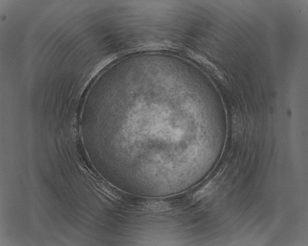 X0000077321170200611031658