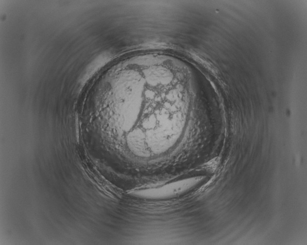 X0000077321171200611031658