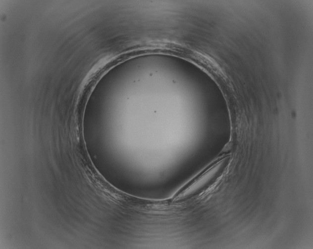 X0000077321172200611031658