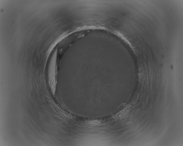 X0000077321173200611031658