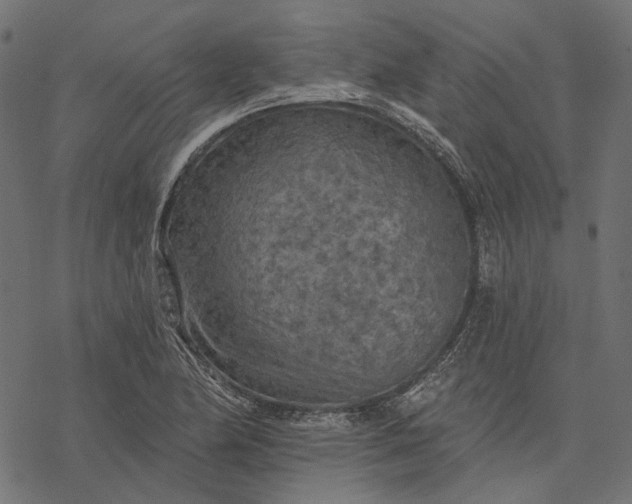 X0000077321174200611031658