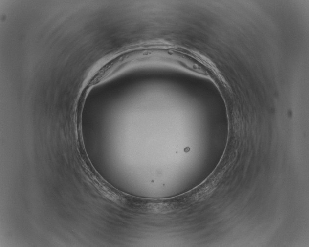 X0000077321176200611031658