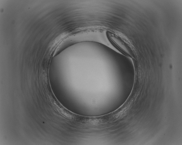 X0000077321177200611031658