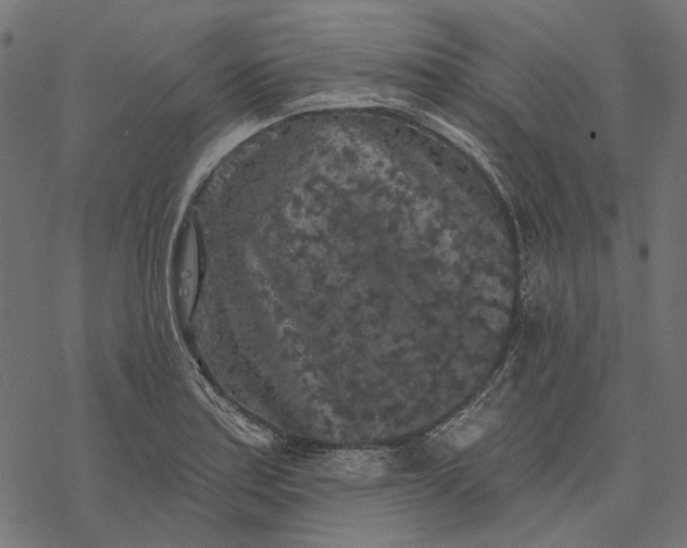 X0000077321179200611031658