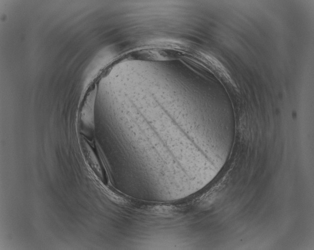 X0000077321180200611031658