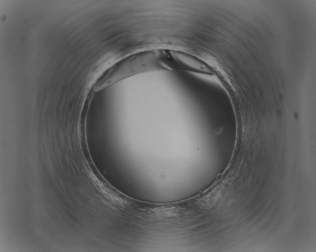 X0000077321181200611031658