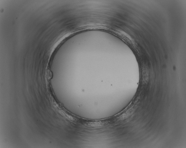 X0000077321182200611031658