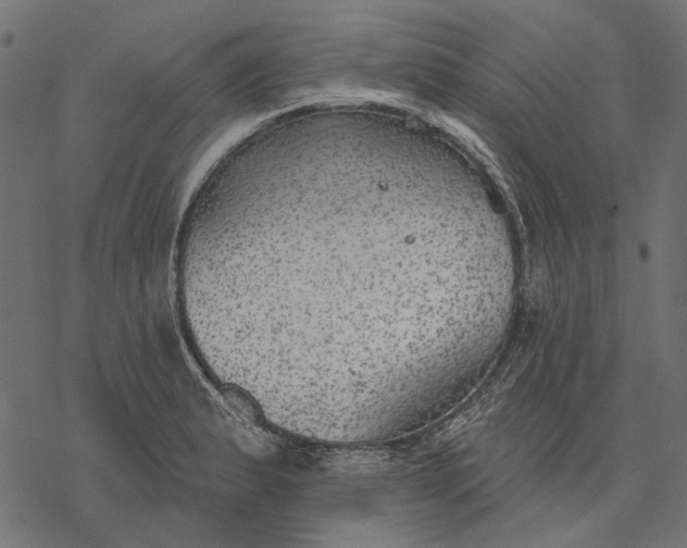 X0000077321183200611031658