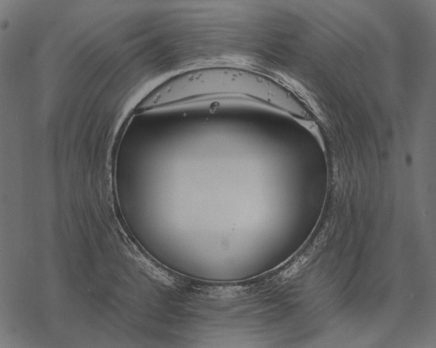 X0000077321184200611031658