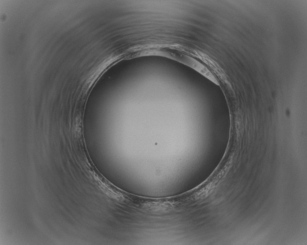 X0000077321185200611031658