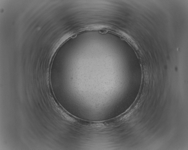 X0000077321186200611031658