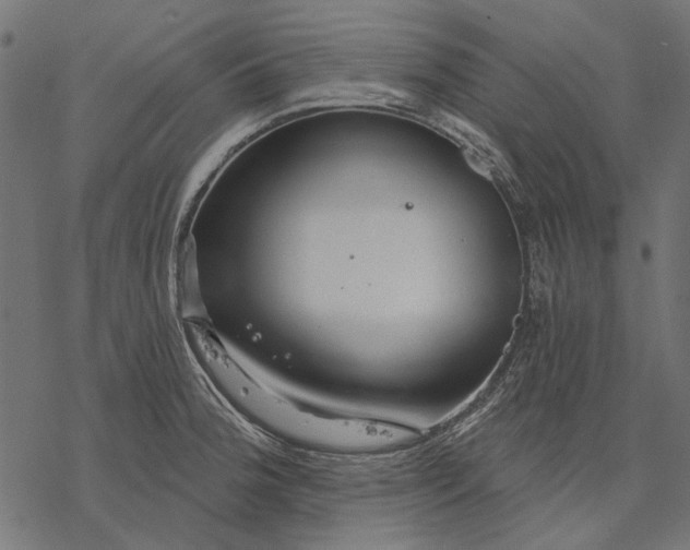 X0000077321188200611031658