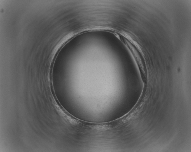 X0000077321189200611031658