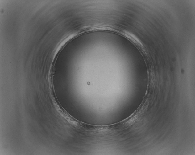 X0000077321190200611031658