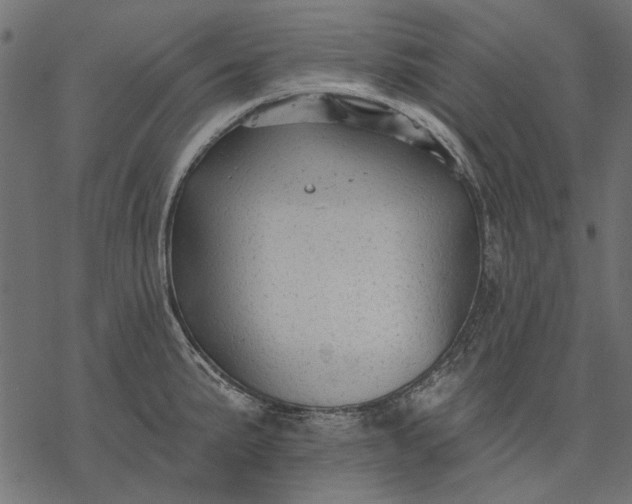 X0000077321191200611031658