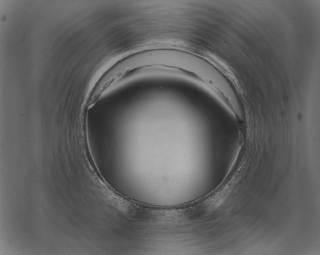 X0000077321192200611031658