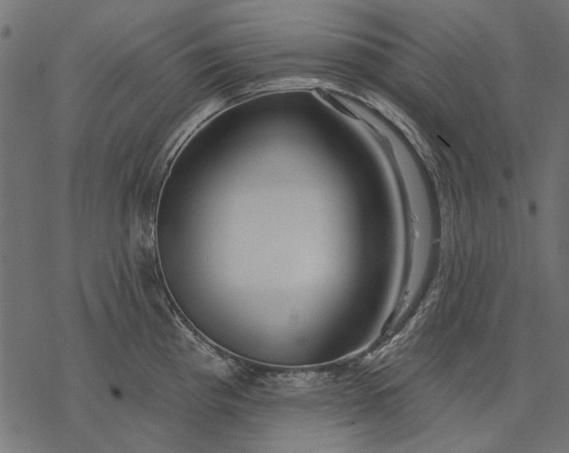 X0000077321193200611031657