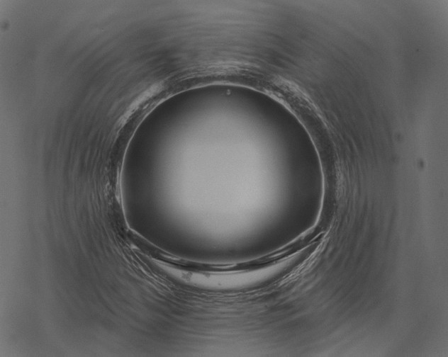 X0000077321210200611031657