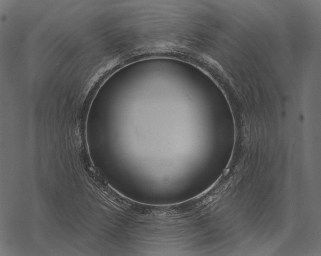 X0000077321218200611031657