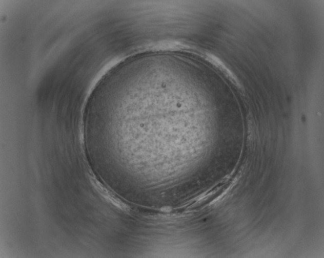 X0000077321232200611031657