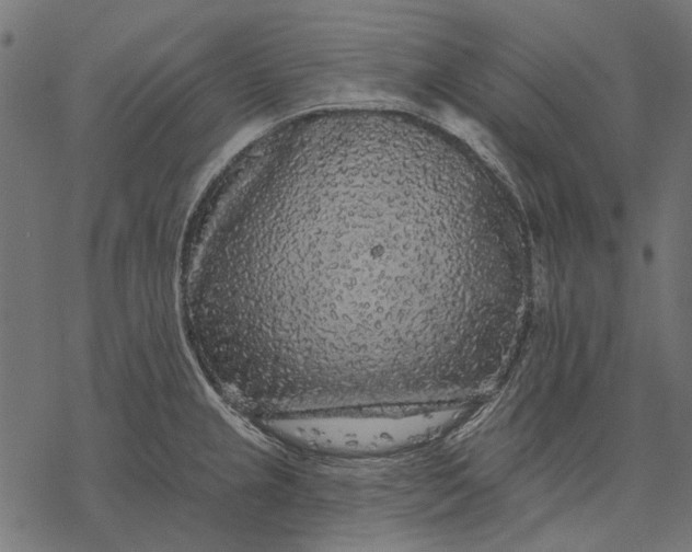 X0000077321237200611031657