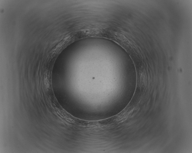 X0000077321250200611031657