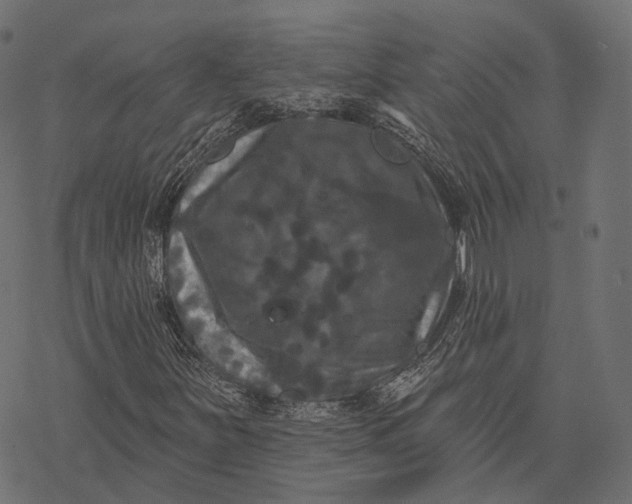 X0000077321251200611031657