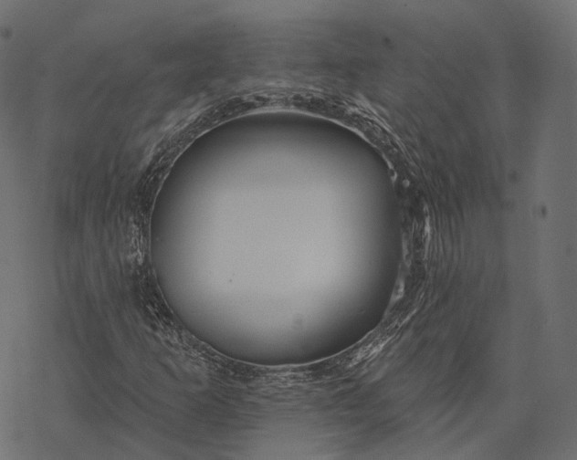 X0000077321253200611031657