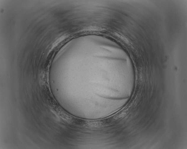 X0000077321258200611031656