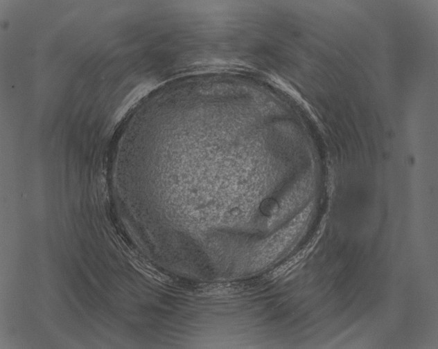 X0000077321259200611031656