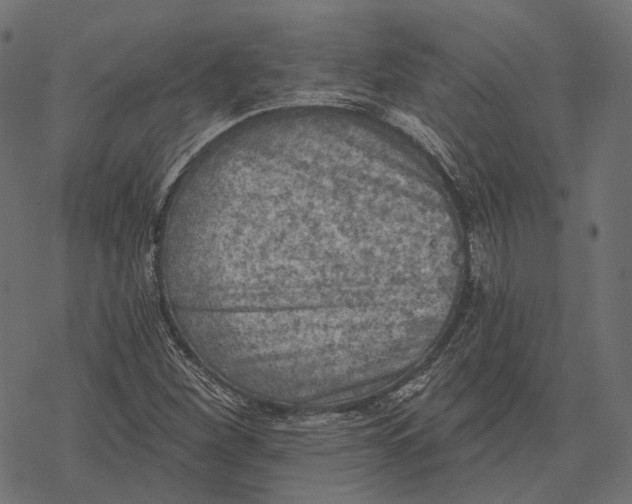 X0000077321260200611031656