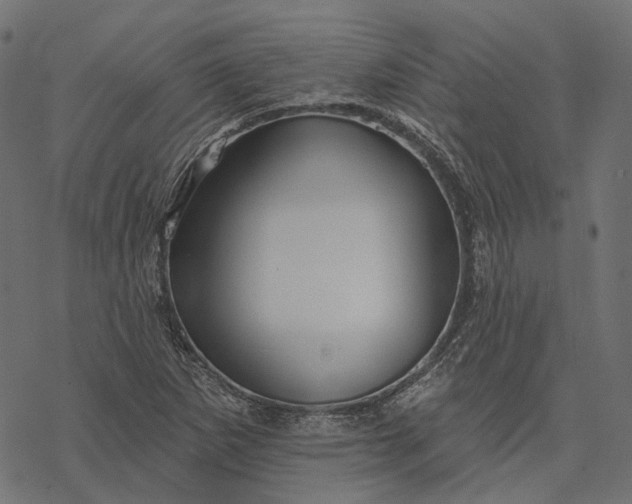 X0000077321265200611031656
