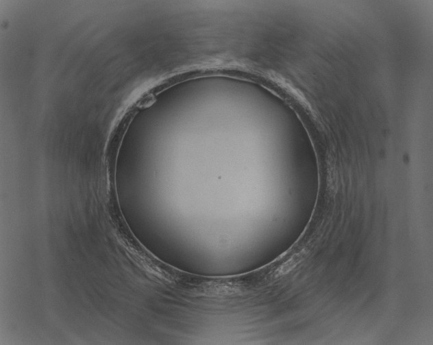 X0000077321270200611031656